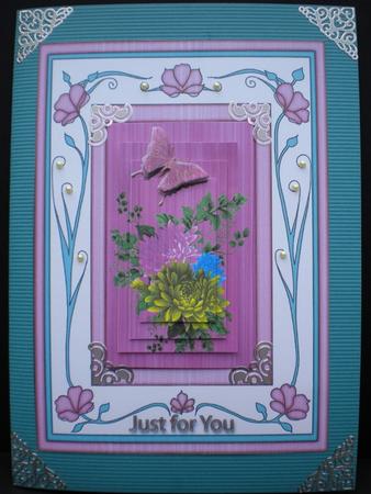 Chrysanthamums in a Pink Frame by Kristina Norbat