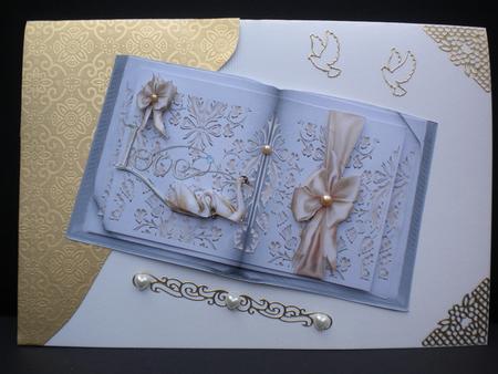 Swan Book by Kristina Norbat