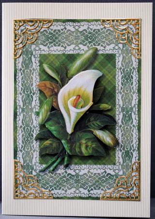 Calla Lily Card Front by Kristina Norbat