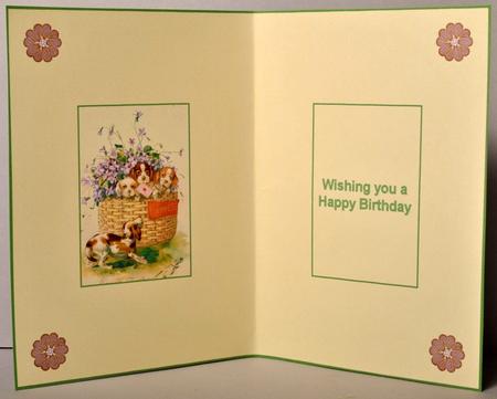 Puppies Having Fun Insert by Kristina Norbat