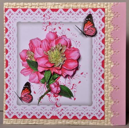 Camellia on White Lace by Kristina Norbat