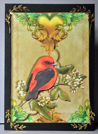Red Bird Scalloped Edge Envelope Card by Kristina Norbat