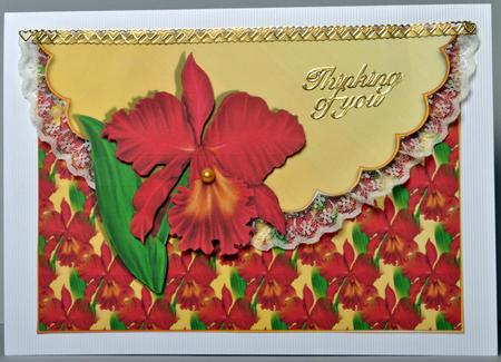 Red and Orange Orchid Scalloped Edge Envelope Card by Kristina Norbat