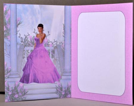 Pink Lady Insert by Kristina Norbat