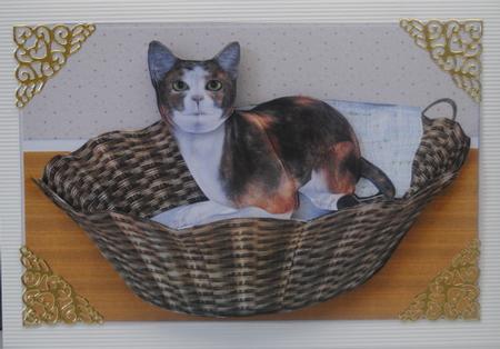 It's My Bed, Not Fidos by Kristina Norbat