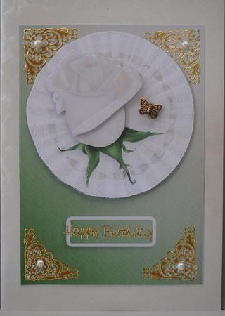 Cream Rose on Lace Card Front by Kristina Norbat