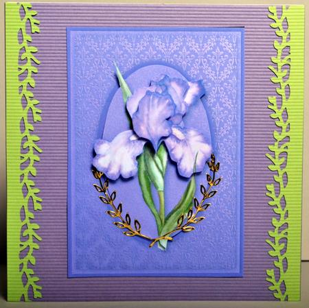 Purple Iris on Damask Quick Card by Kristina Norbat
