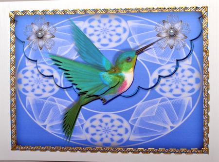 Beautiful Hummingbird Scalloped Edge Envelope Card by Kristina Norbat