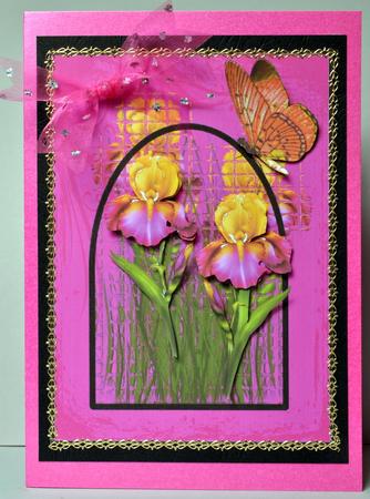 Stained Glass Window - Iris by Kristina Norbat