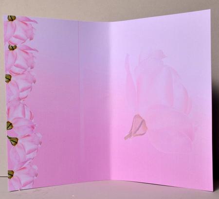 Pink Roses Insert Cut or Print T to Size You Require by Kristina Norbat
