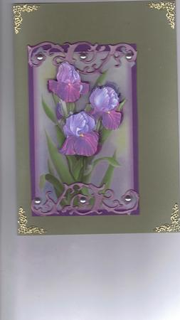 Large Iris's by Kristina Norbat