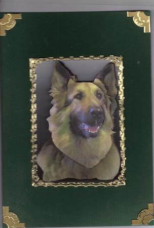 German Shepherd 4 Portrait 3D Decoupage by Kristina Norbat