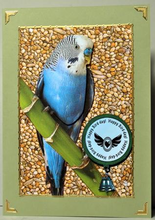 Budgie Card Front by Kristina Norbat