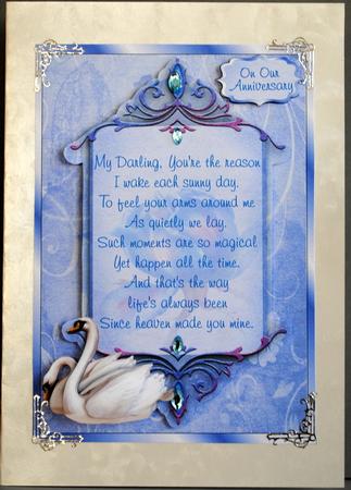 My Darling, You're the Reason - Anniversary/birthday by Kristina Norbat