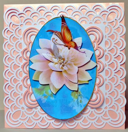 Water Lily by Kristina Norbat
