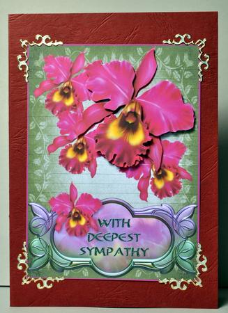 With Deepest Sympathy Pink Orchid by Kristina Norbat
