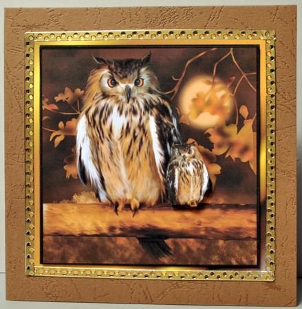 Wisdom by Kristina Norbat