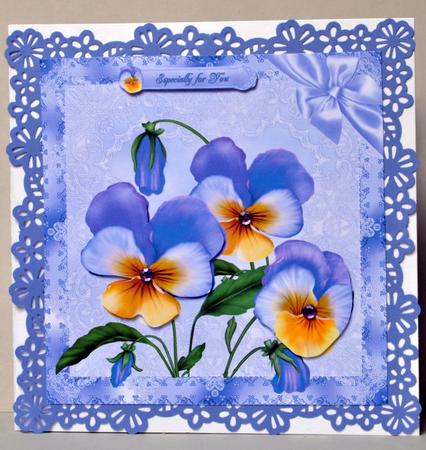 8x8 Pansies Lace by Kristina Norbat