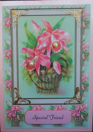 Basket of Orchids by Kristina Norbat