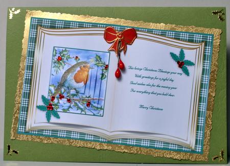 Christmas Robin Book Card Front by Kristina Norbat