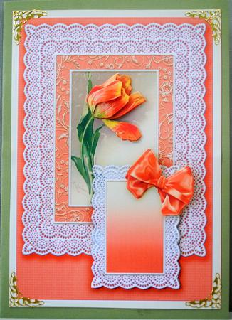 Orange Tulip in a Broderie Anglaise Frame, Decoupage by Kristina Norbat