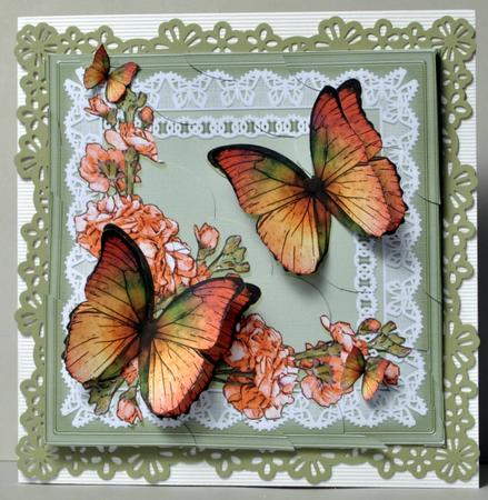 8 x 8 Butterflies and Flowers on Lace Scalloped Corner Kit by Kristina Norbat