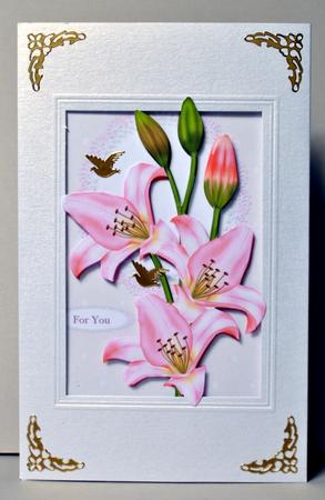 Beautiful Lilly in Pink by Kristina Norbat