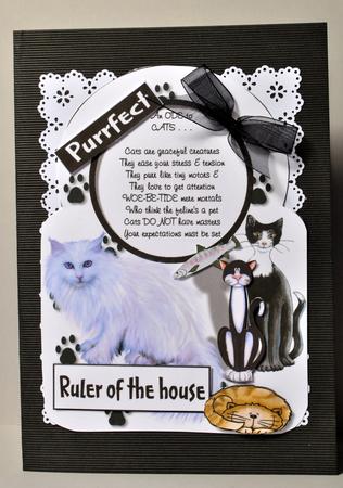 An Ode to Cats by Kristina Norbat