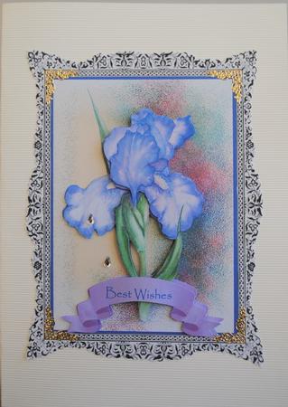 Beautiful Purple Iris by Kristina Norbat