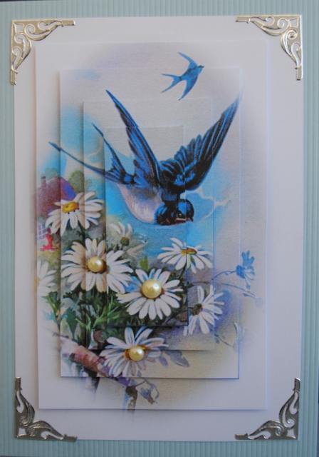 Blue Birds Are Singing Happy Birthday Get Well Soon by Kristina Norbat