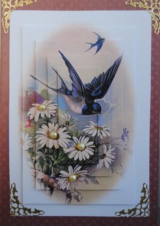 Birds of a Feather Happy Birthday Get Well Soon by Kristina Norbat