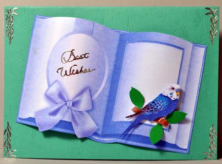 Purple and Teal Book Frame Card Fronts by Kristina Norbat