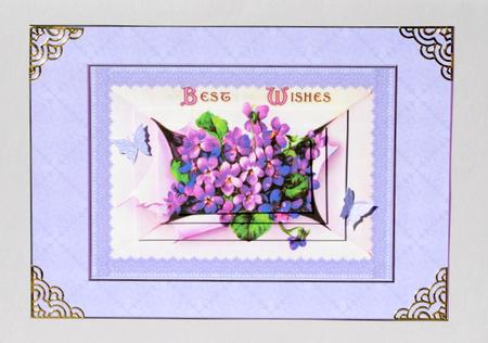 Violets from the Envelope by Kristina Norbat