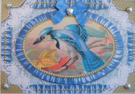 Beautiful Kingfisher Lace N Ruffles Card Front Step by Step by Kristina Norbat