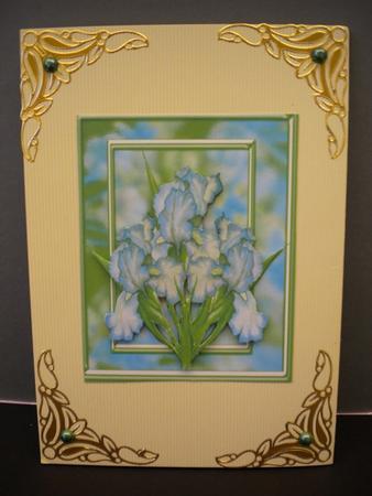 Loverly Iris Lime by Kristina Norbat