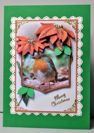 Poinsettia Robin by Kristina Norbat
