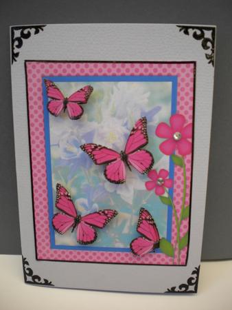 Butterfly Season Happy Birthday Best Wishes by Kristina Norbat