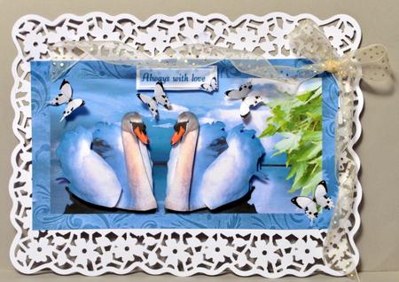 Swans in Love by Kristina Norbat