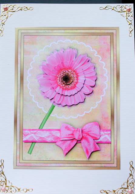Pink Gerbera on Lace Card Front by Kristina Norbat