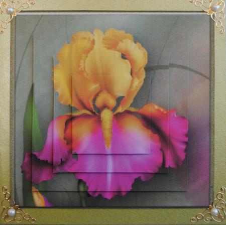 Orchid Toppers with Pyramage by Kristina Norbat