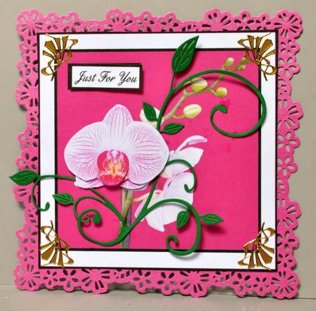 An Orchid Just for You by Kristina Norbat