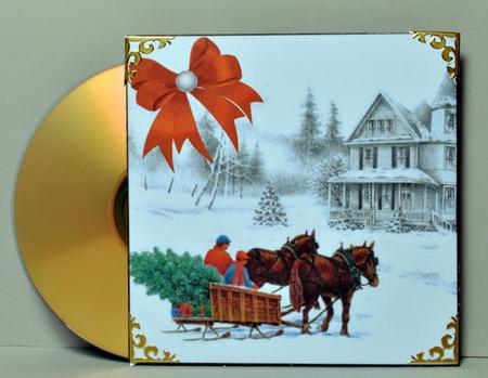 Cd/dvd Gift Envelope #3 by Kristina Norbat