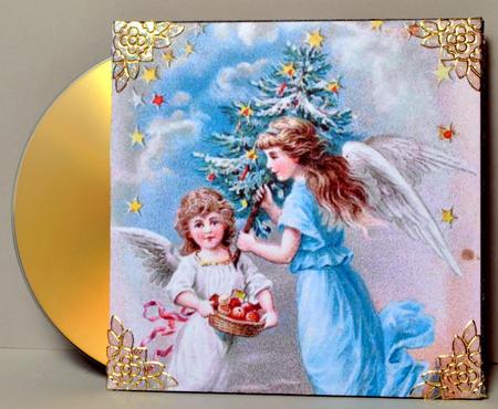 Cd/dvd Gift Envelope #5 by Kristina Norbat