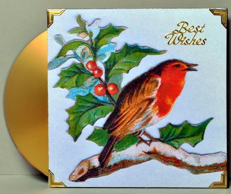Cd/dvd Gift Envelope #10 by Kristina Norbat
