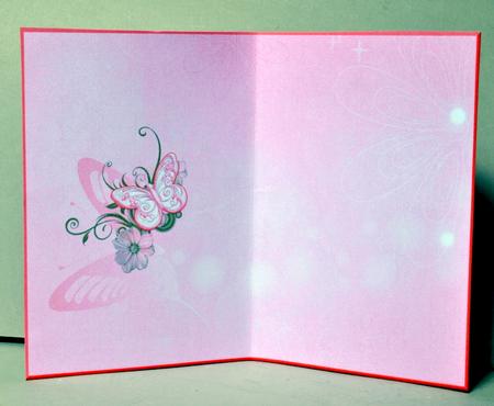 Peachy Pink Butterfly Insert by Kristina Norbat