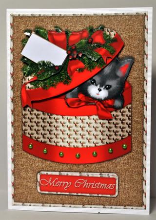 Christmas Kitten by Kristina Norbat