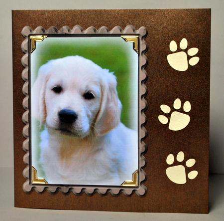 Golden Retriever Puppy Portrait! by Kristina Norbat