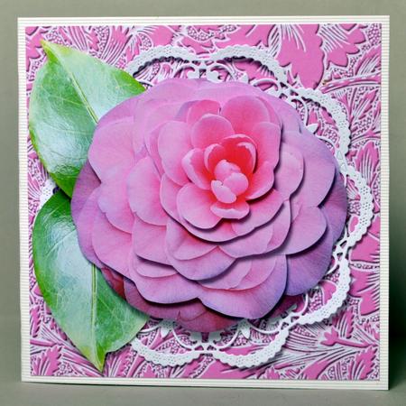 4 Different Cut Out Layered Flowers Transparent Background by Kristina Norbat