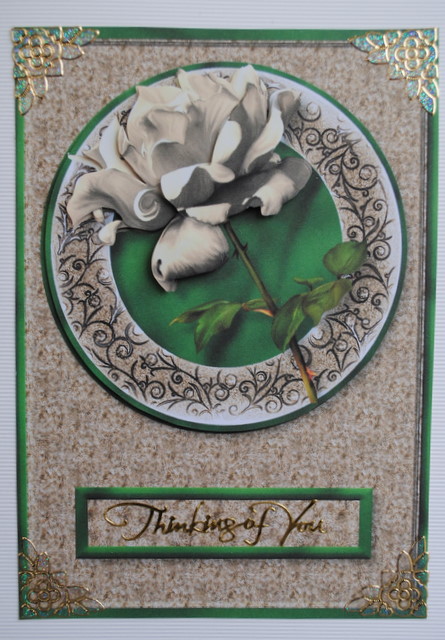 Cream Rose Card Front by Kristina Norbat
