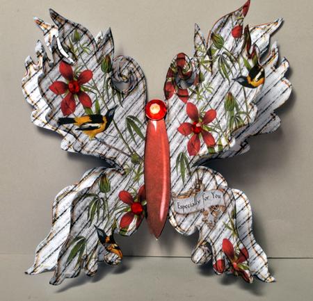 Papillon 14, Troupial by Kristina Norbat